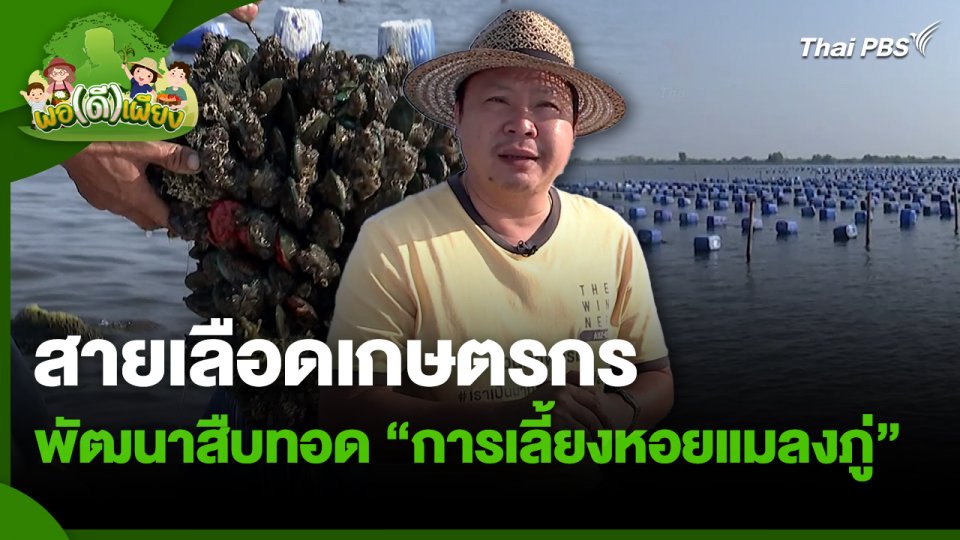 พอดีพอเพียง : สายเลือดเกษตรกรพัฒนาสืบทอด "การเลี้ยงหอยแมลงภู่"