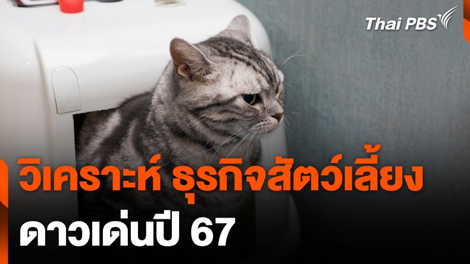 วิเคราะห์ "ธุรกิจสัตว์เลี้ยง" ดาวเด่นปี 67