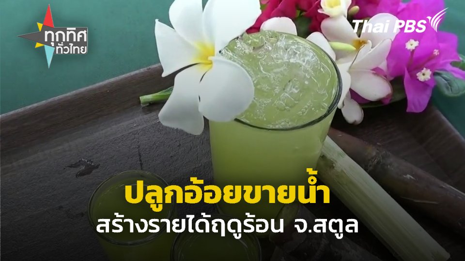 ปลูกอ้อยขายน้ำ สร้างรายได้ฤดูร้อน จ.สตูล