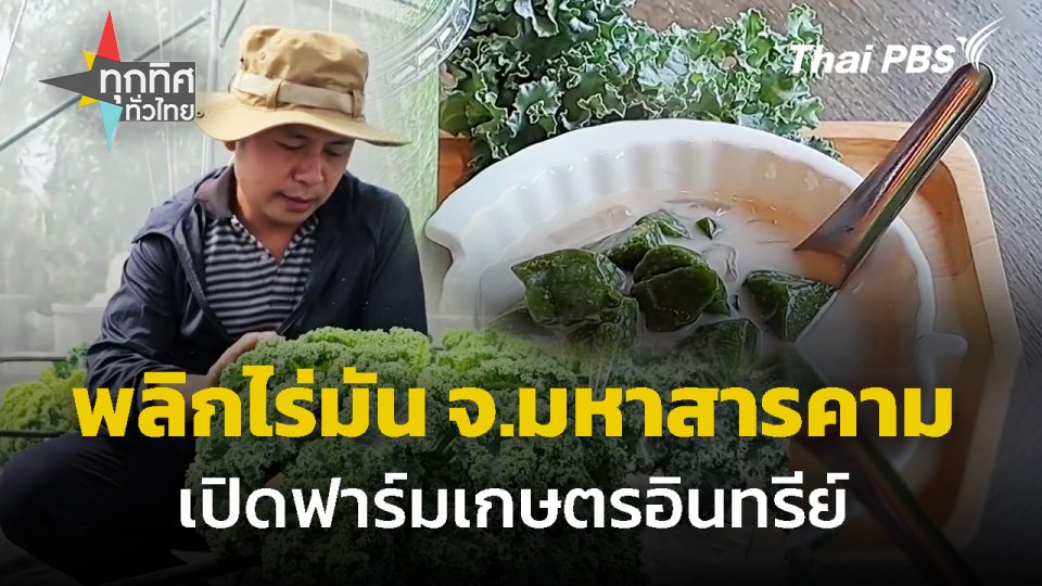 ​พลิกไร่มันเปิดฟาร์มเกษตรอินทรีย์ จ.มหาสารคาม