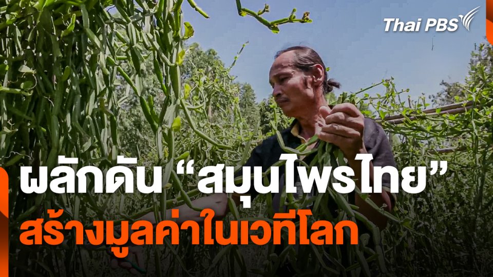 เรดาร์อากาศ : ผลักดัน "สมุนไพรไทย" สร้างมูลค่าในเวทีโลก