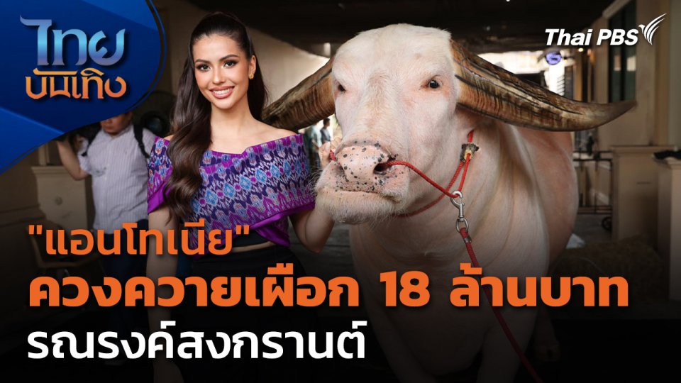 "แอนโทเนีย" ควงควายเผือก 18 ล้าน รณรงค์สงกรานต์