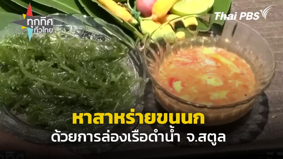 ล่องเรือดำน้ำหาสาหร่ายขนนก จ.สตูล