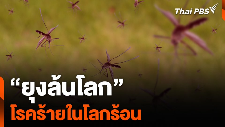 “ยุงล้นโลก” โรคร้ายในโลกร้อน