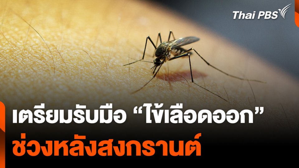 เตรียมรับมือ “ไข้เลือดออก” ช่วงหลังสงกรานต์