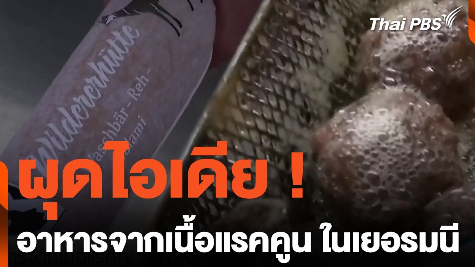 ผุดไอเดีย ! อาหารจากเนื้อแรคคูน ในเยอรมนี