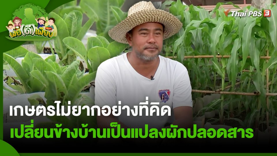 พอดีพอเพียง : เกษตรไม่ยากอย่างที่คิด เปลี่ยนข้างบ้านเป็นแปลงผักปลอดสาร