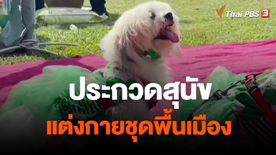 ประกวดสุนัขแต่งกายชุดพื้นเมือง