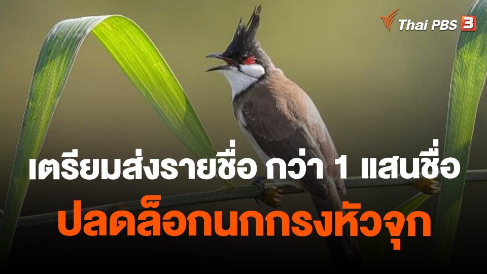 เตรียมส่งรายชื่อ กว่า 1 แสนชื่อ ปลดล็อกนกกรงหัวจุก