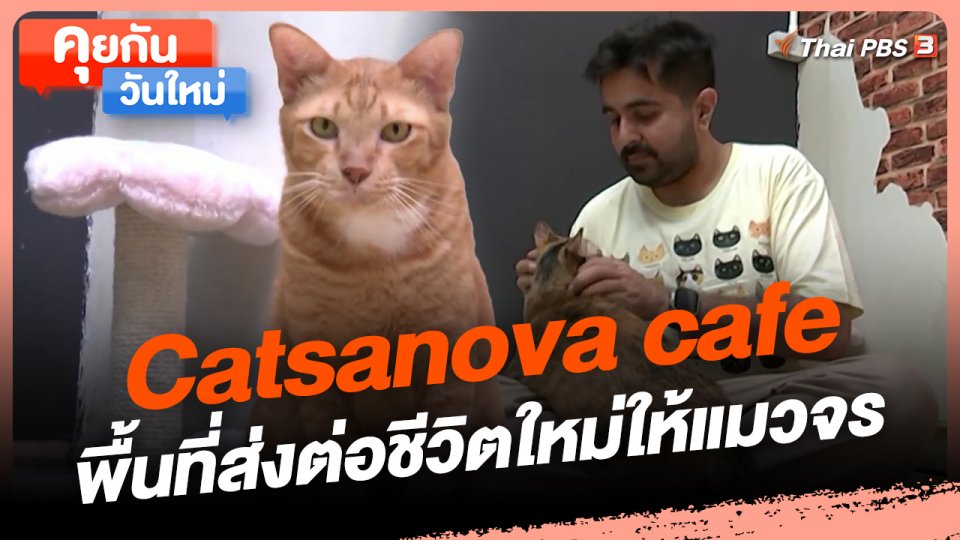 คุยกันวันใหม่ : Catsanova cafe พื้นที่ส่งต่อชีวิตใหม่ให้แมวจร