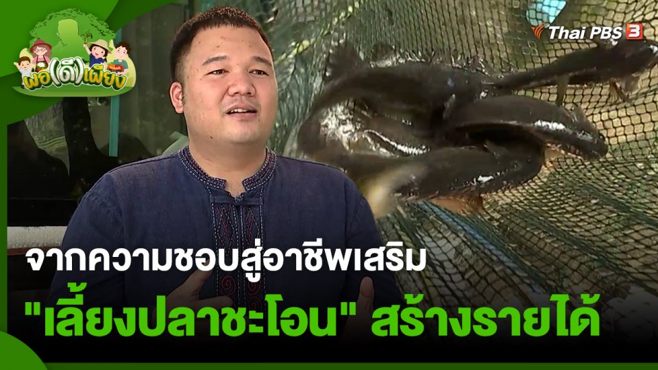 พอดีพอเพียง : จากความชอบสู่อาชีพเสริม "เลี้ยงปลาชะโอน" สร้างรายได้