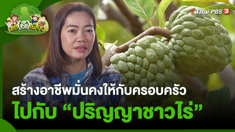 พอดีพอเพียง : สร้างอาชีพมั่นคงให้กับครอบครัวไปกับ "ปริญญาชาวไร่"