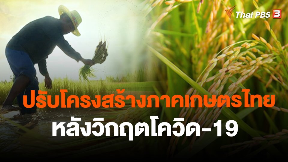 จับสัญญาณเศรษฐกิจ : ปรับโครงสร้างภาคเกษตรไทย หลังวิกฤตโควิด-19