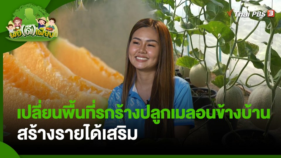 พอดีพอเพียง : เปลี่ยนพื้นที่รกร้างปลูกเมลอนข้างบ้าน สร้างรายได้เสริม