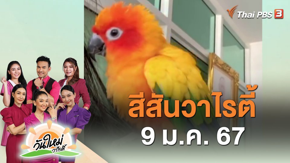 สีสันวาไรตี้ (9 ม.ค. 67)