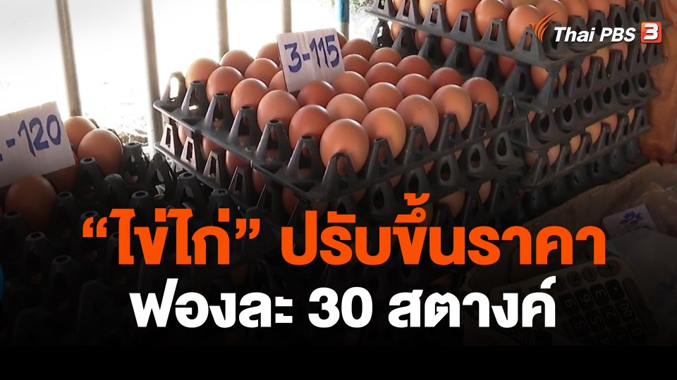 วันนี้ "ไข่ไก่" ปรับขึ้นราคาฟองละ 30 สตางค์