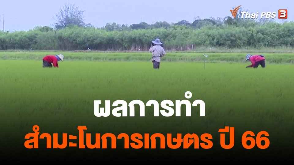 จับสัญญาณเศรษฐกิจ : ผลการทำสำมะโนการเกษตร ปี 66