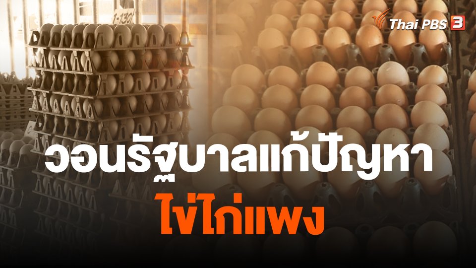 วอนรัฐบาลแก้ปัญหาไข่ไก่แพง