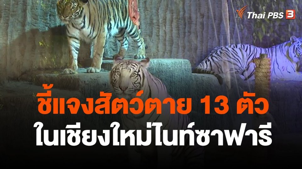ชี้แจงสัตว์ในเชียงใหม่ไนท์ซาฟารีตาย 13 ตัว