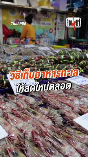 วิธีเก็บอาหารทะเล ให้สดใหม่ตลอด