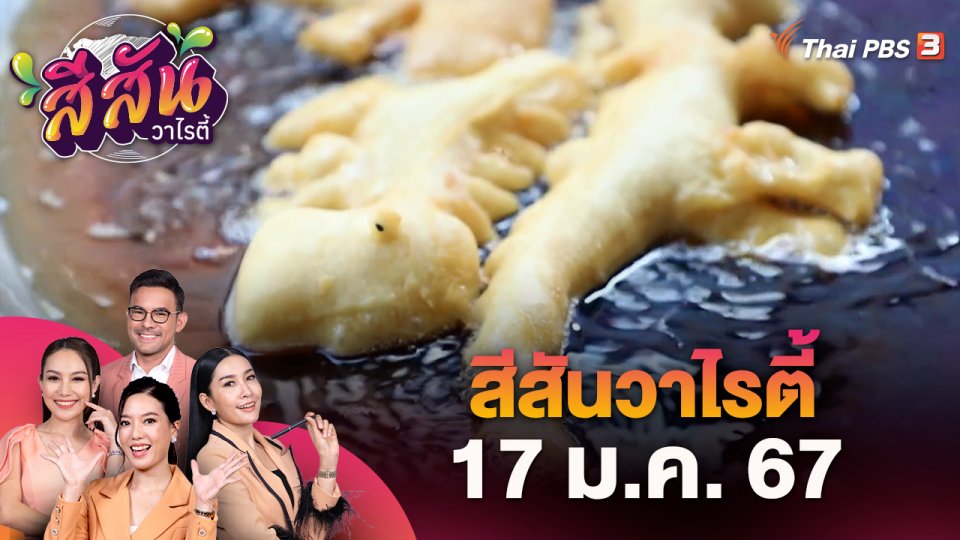 ​สีสันวาไรตี้ (17 ม.ค. 67)