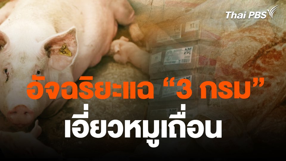 อัจฉริยะแฉ "3 กรม" เอี่ยวหมูเถื่อน