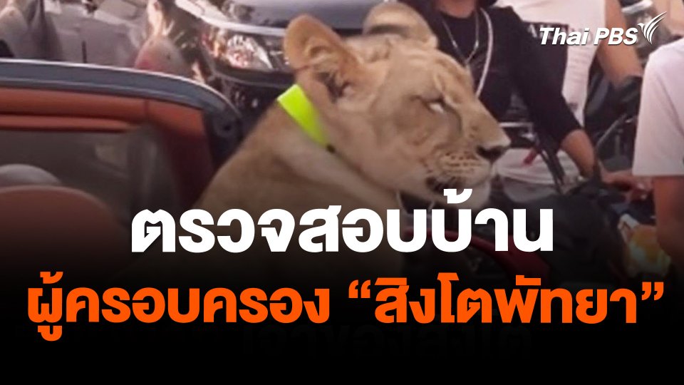 ตรวจสอบบ้านผู้ครอบครอง "สิงโตพัทยา"