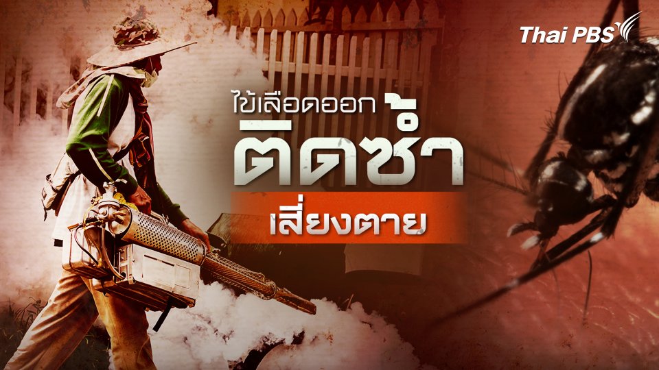 กรมควบคุมโรคคาดไข้เลือดออกระบาดหนัก