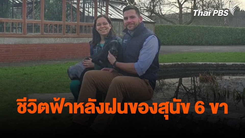 ชีวิตฟ้าหลังฝนของสุนัข 6 ขา