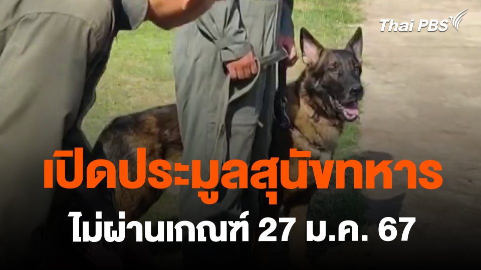เปิดประมูลสุนัขทหารไม่ผ่านเกณฑ์ 27 ม.ค. 67