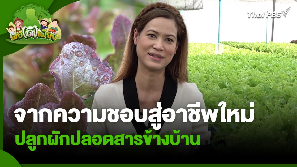 พอดีพอเพียง : จากความชอบสู่อาชีพใหม่ปลูกผักปลอดสารข้างบ้าน
