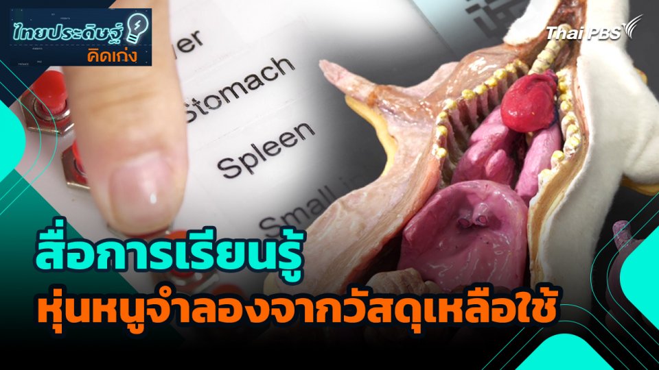 ไทยประดิษฐ์คิดเก่ง : สื่อการเรียนรู้หุ่นหนูจำลองจากวัสดุเหลือใช้