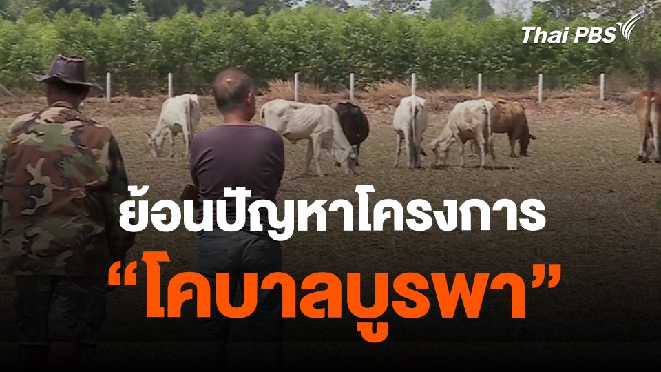 ​TheEXIT : ย้อนปัญหาโครงการ "โคบาลบูรพา"
