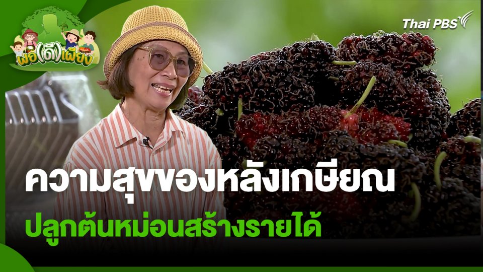 พอดีพอเพียง : ความสุขของหลังเกษียณ ปลูกต้นหม่อนสร้างรายได้