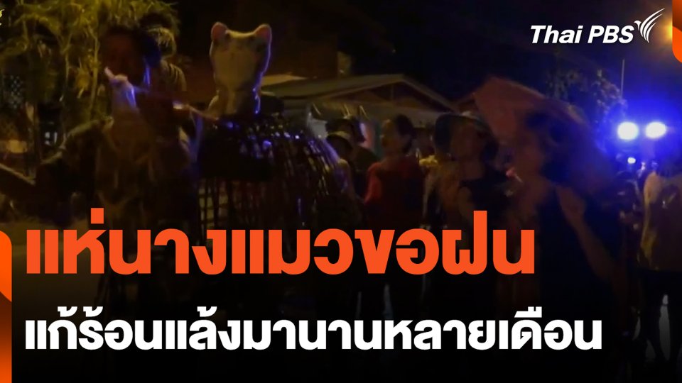 แห่นางแมวขอฝน แก้ร้อนแล้งมานานหลายเดือน