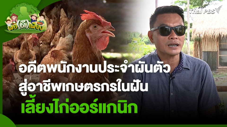 พอดีพอเพียง : อดีตพนักงานประจำผันตัว สู่อาชีพเกษตรกรในฝัน เลี้ยงไก่ออร์แกนิก