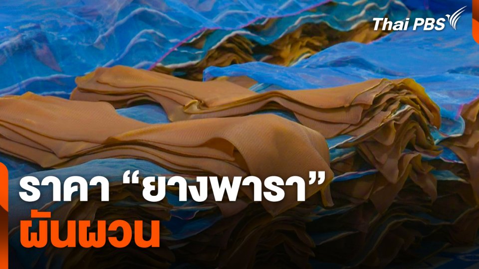 ราคา "ยางพารา" ผันผวน