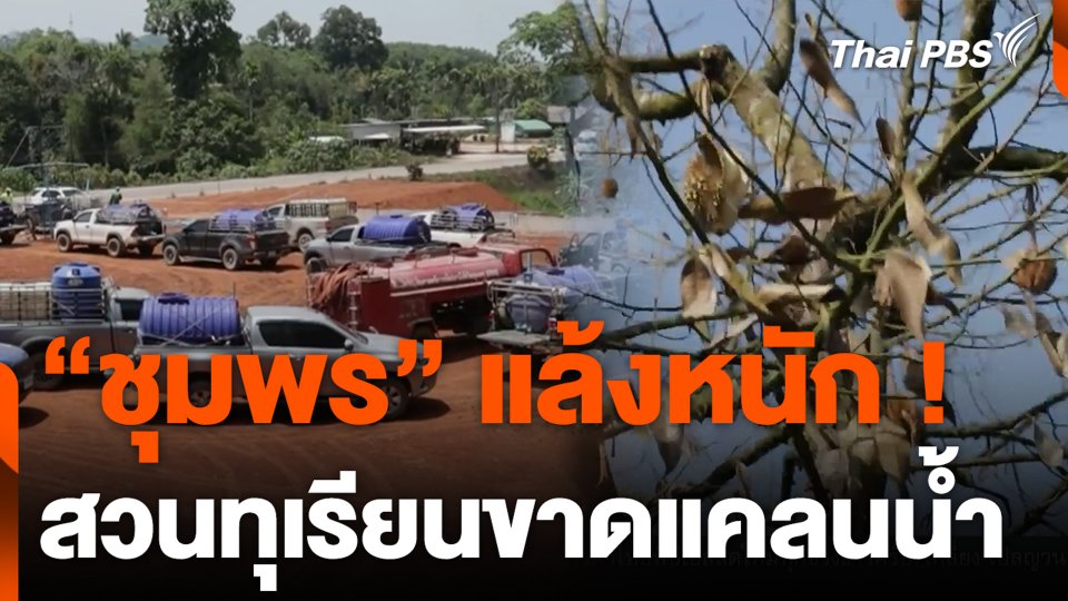 “ชุมพร” แล้งหนัก ! สวนทุเรียนขาดแคลนน้ำ