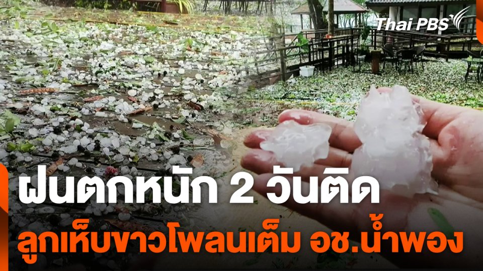 ฝนตกหนัก 2 วันติด ลูกเห็บขาวโพลนเต็ม อช.น้ำพอง