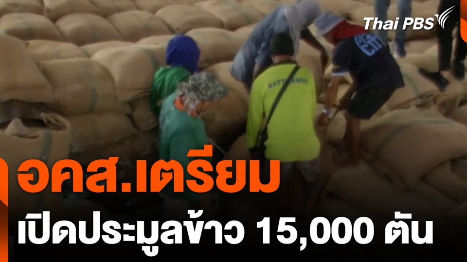 อคส.เตรียมเปิดประมูลข้าว 15,000 ตัน กลางเดือนนี้