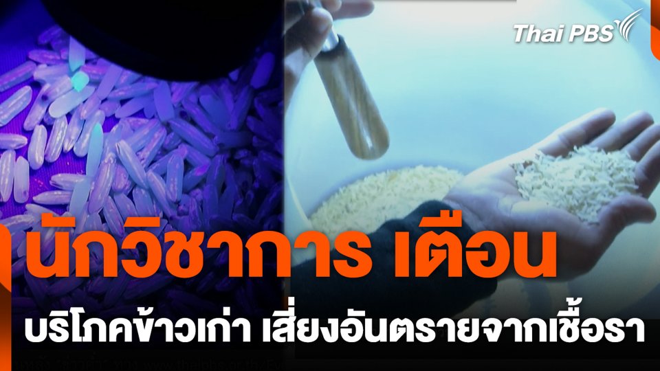 นักวิชาการเตือน บริโภคข้าวเก่า เสี่ยงอันตรายจากเชื้อรา