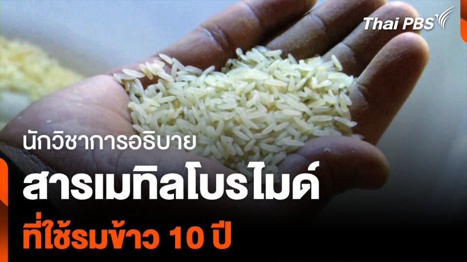 ข้าวเน่า 10 ปี.mp4