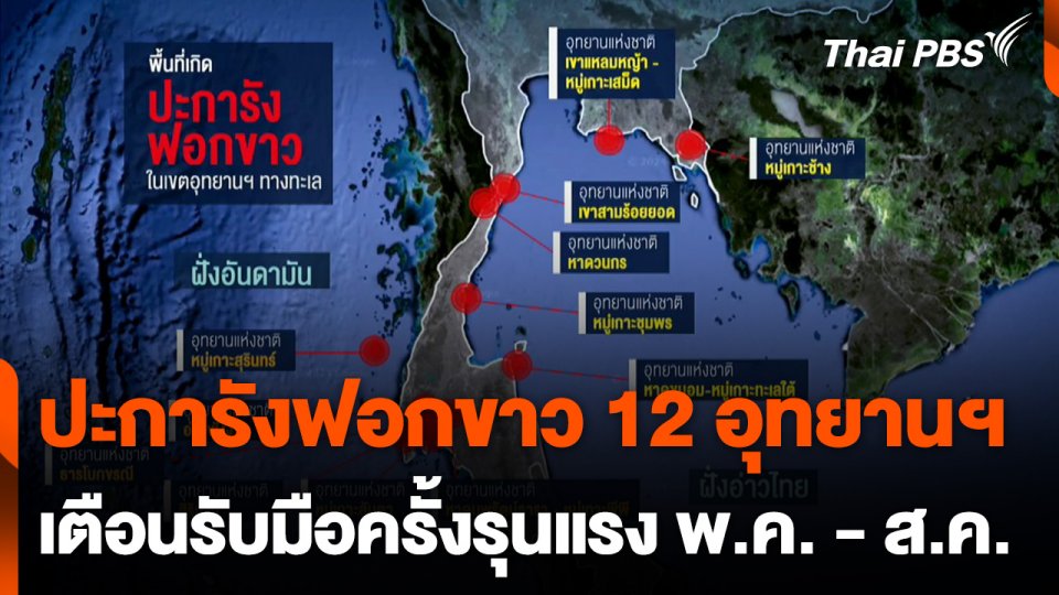 ความเสี่ยงแนวปะการังไทย ฟอกขาวรุนแรงมากเป็นวงกว้าง