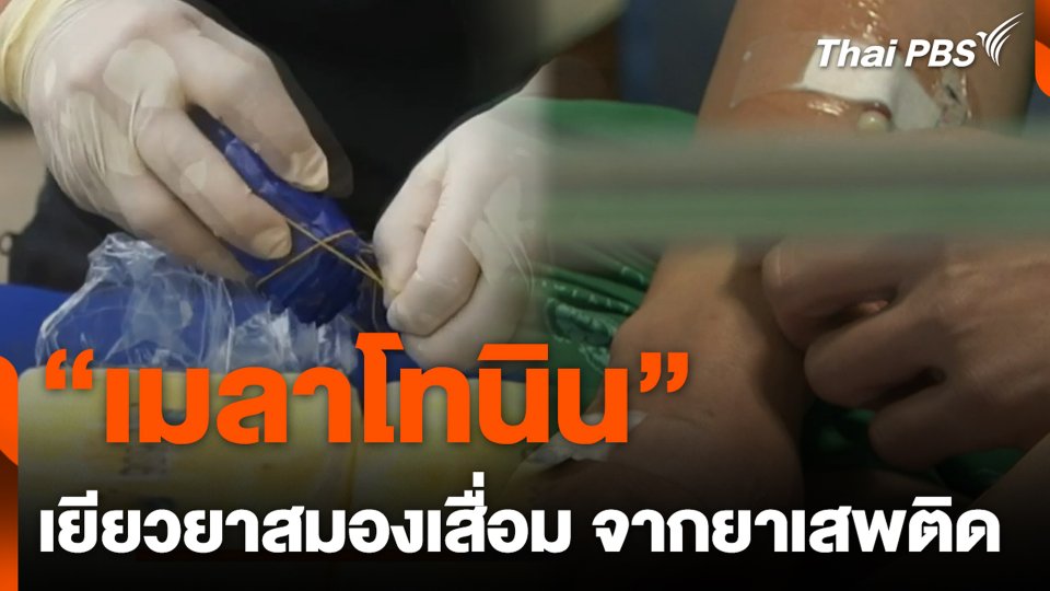 “เมลาโทนิน” เยียวยาสมองเสื่อม จากยาเสพติด