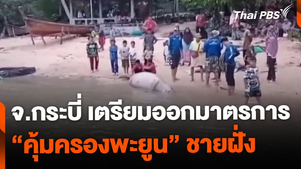 กระบี่ออกมาตรการ คุ้มครองพะยูน