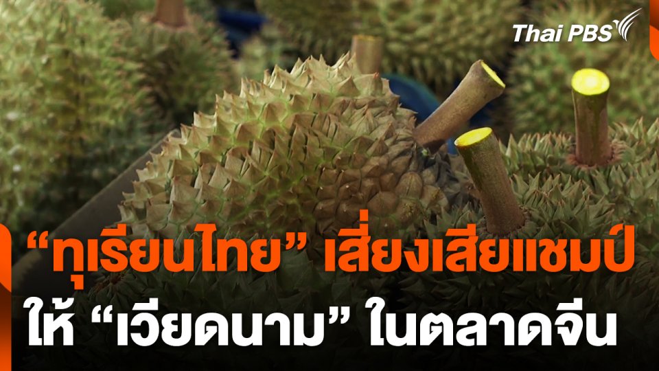 ทุเรียนไทยเสี่ยงเสียแชมป์ให้เวียดนาม