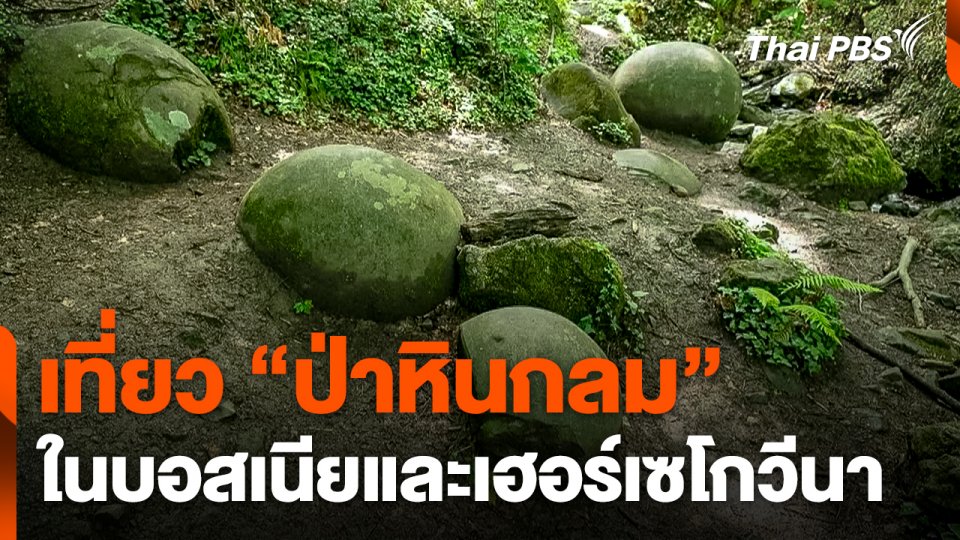 เที่ยว "ป่าหินกลม" ในบอสเนียและเฮอร์เซโกวีนา