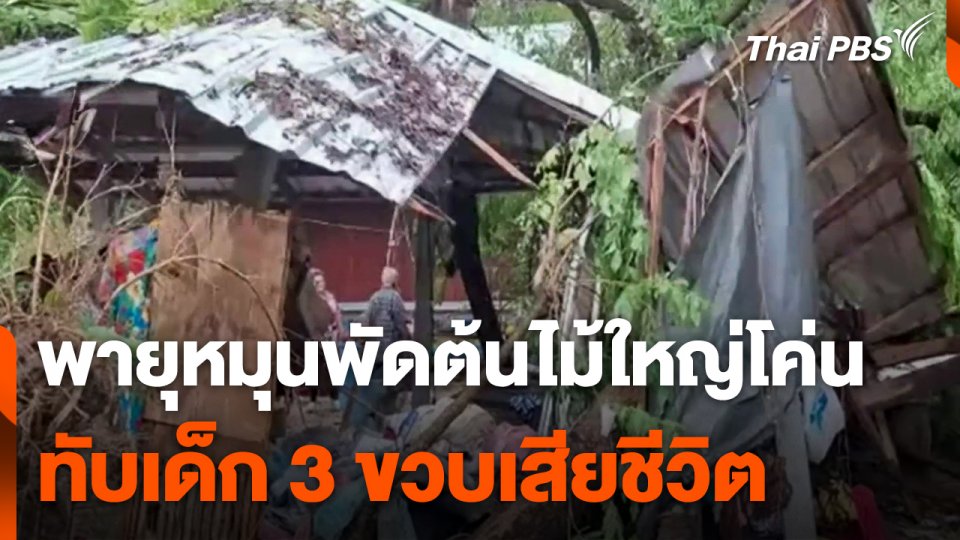 พายุหมุนพัดต้นไม้ใหญ่โค่นทับเด็ก 3 ขวบเสียชีวิต