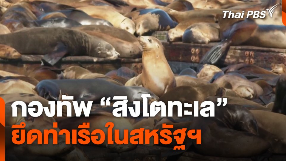 กองทัพ "สิงโตทะเล" ยึดท่าเรือในสหรัฐฯ