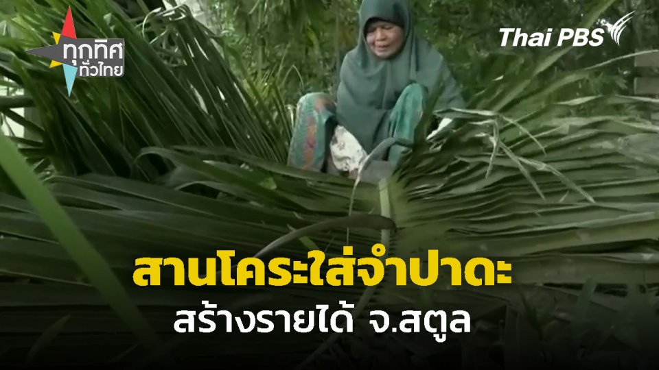 เร่งสานโคระใส่จำปาดะ จ.สตูล